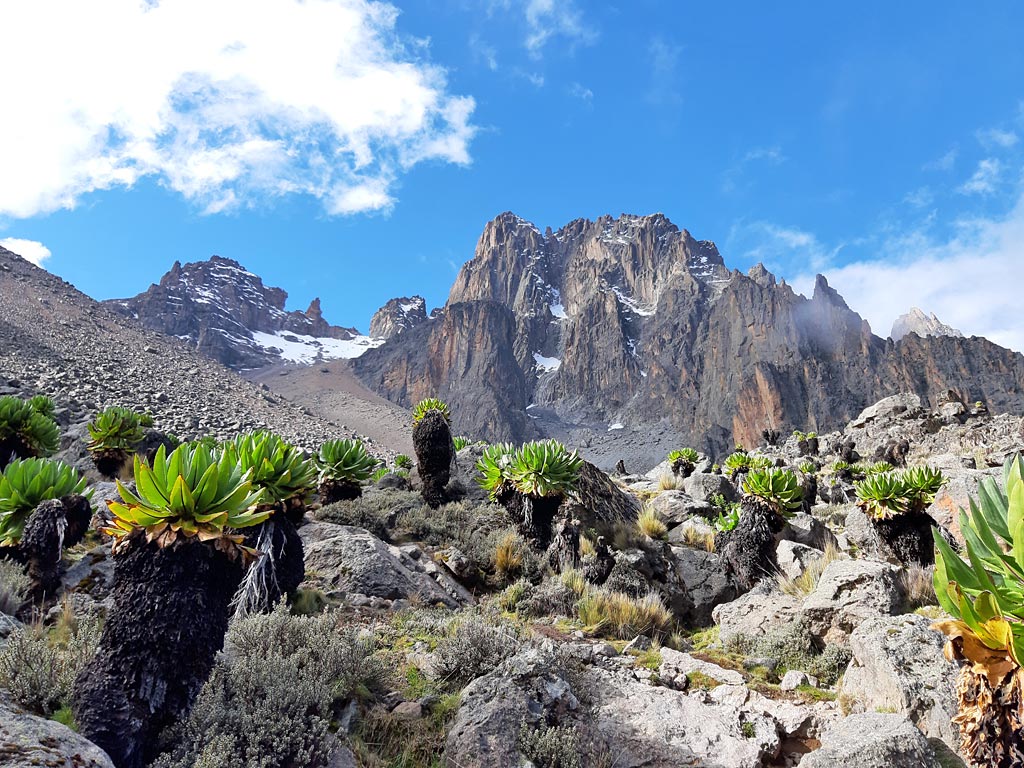 5 Days Mount Kenya Climbing 