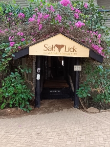 Salt Lick Safari Lodge_2